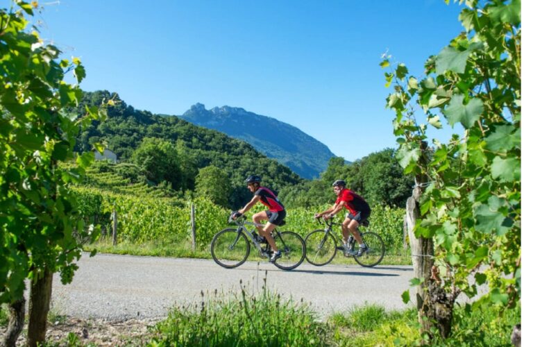 Ballade velo - À l'ombre du Noyer - Gîte de groupe