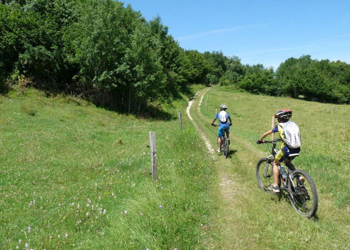 Sortie de vélo