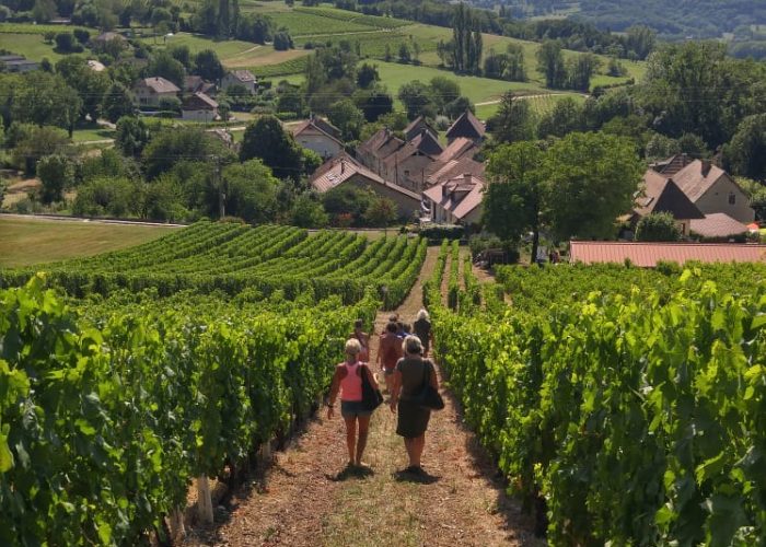 Balade gourmande dans les vignes