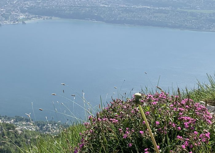 Vue sommet La Dent du Chat